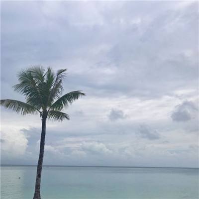 美人鱼芭比公主游戏下载