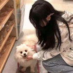 魔幻年代记游戏